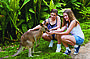 Friends in the Rainforest Package [Kuranda Koala Gardens & Birdworld Kuranda entry]