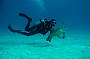 2 Day/ 1 Night Certified Dive Trip - MV Kangaroo Explorer (qualified divers only)